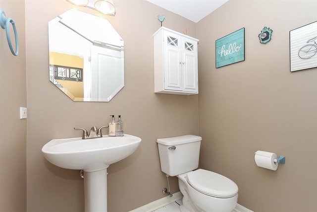 413 Monarch Birch Ln, Bartlett, IL 60103 photo 14