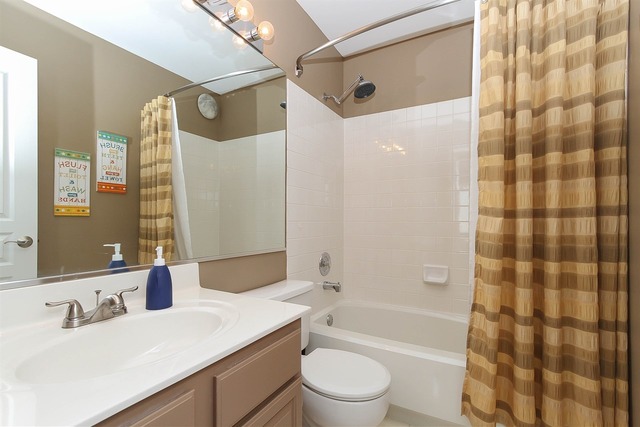 413 Monarch Birch Ln, Bartlett, IL 60103 photo 19