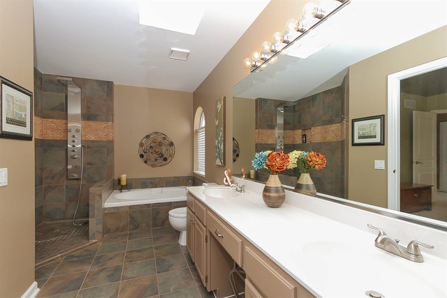 413 Monarch Birch Ln, Bartlett, IL 60103 photo 16