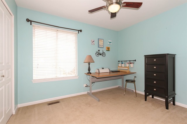 413 Monarch Birch Ln, Bartlett, IL 60103 photo 18