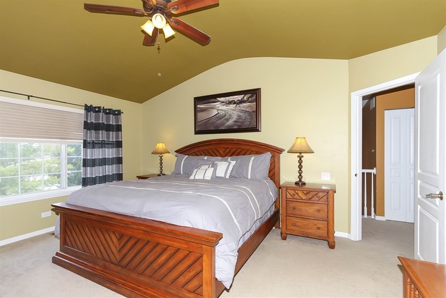 413 Monarch Birch Ln, Bartlett, IL 60103 photo 15