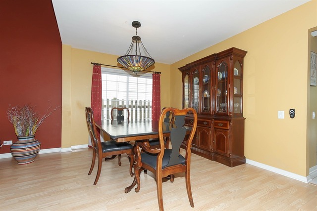 413 Monarch Birch Ln, Bartlett, IL 60103 photo 9