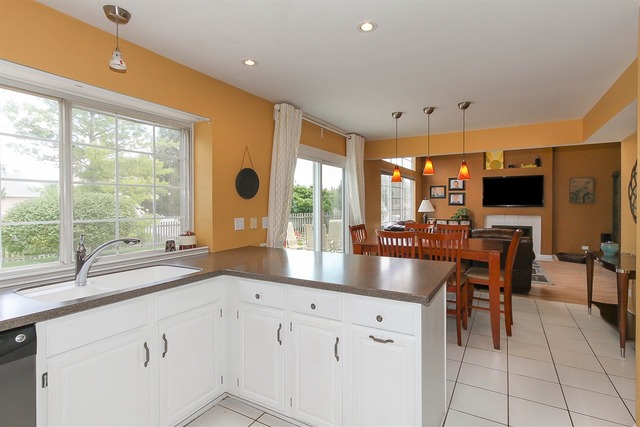 413 Monarch Birch Ln, Bartlett, IL 60103 photo 12