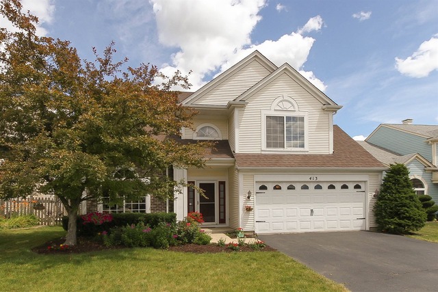 413 Monarch Birch Ln, Bartlett, IL 60103 photo 1