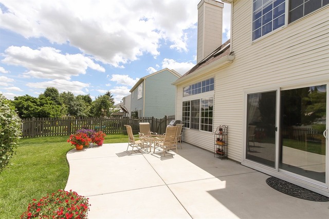 413 Monarch Birch Ln, Bartlett, IL 60103 photo 21