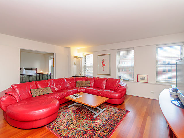 40 E 9th St #701, Chicago, IL 60605 photo 5