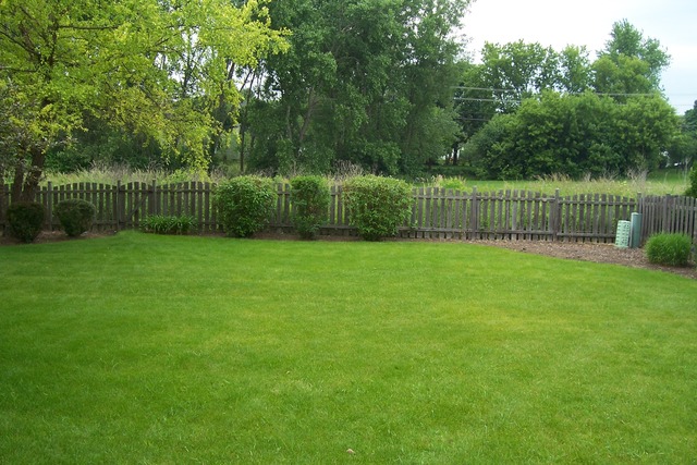 193 Wilcox Dr, Bartlett, IL 60103 photo 21