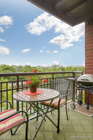 255 E Liberty Dr #403-2, Wheaton, IL 60187 photo 12