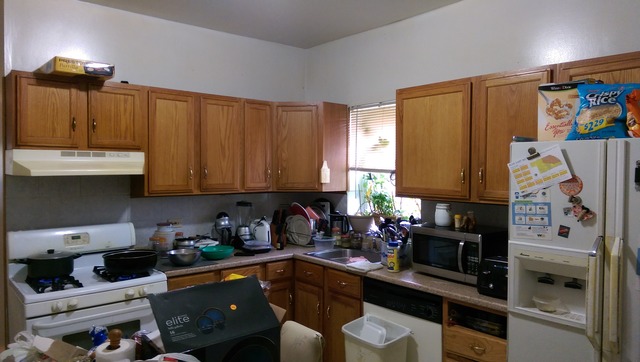1037 N Drake Ave, Chicago, IL 60651 photo 8