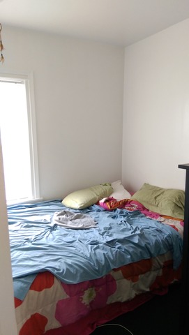 1037 N Drake Ave, Chicago, IL 60651 photo 13