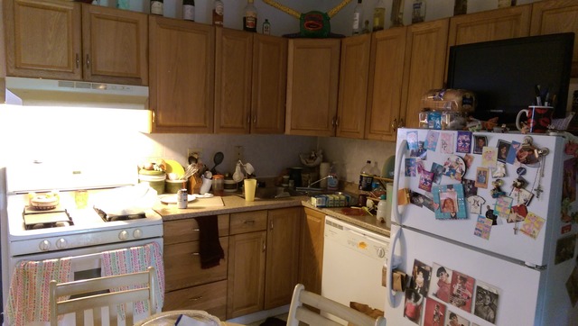1037 N Drake Ave, Chicago, IL 60651 photo 12