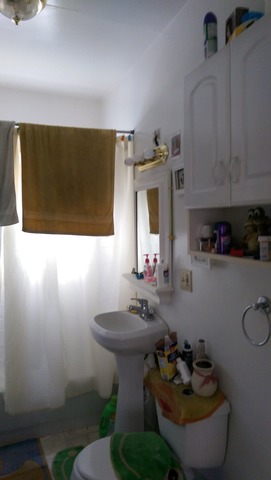 1037 N Drake Ave, Chicago, IL 60651 photo 10