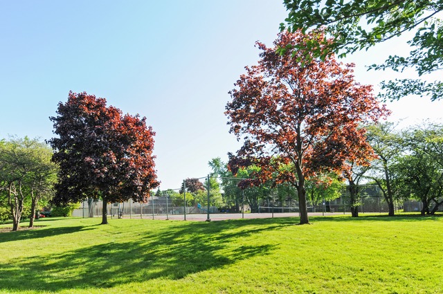 134 E Bailey Rd #J, Naperville, IL 60565 photo 9
