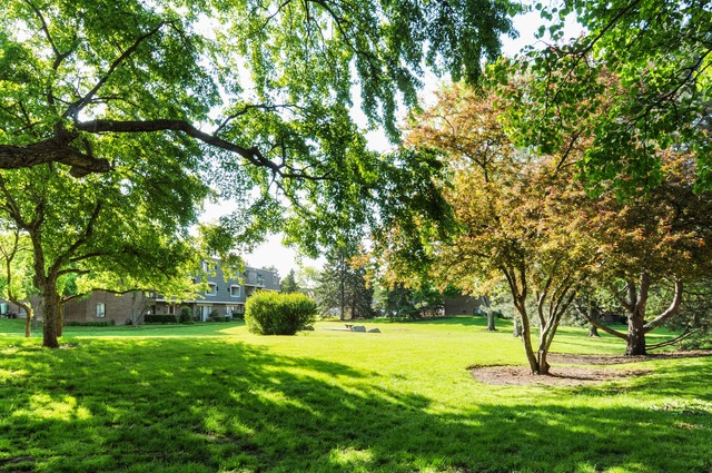 134 E Bailey Rd #J, Naperville, IL 60565 photo 8