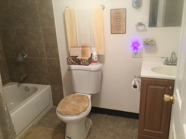 12236 S Ada St, Chicago, IL 60643 photo 5