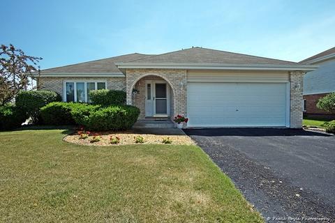 26221 S Ruby St, Monee, IL 60449 photo 1