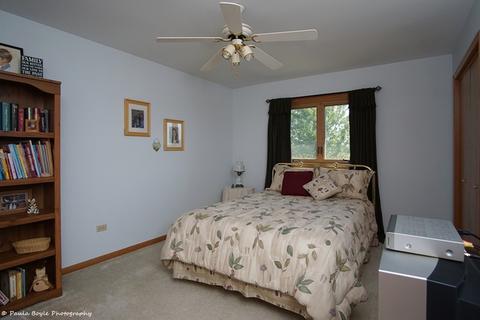 26221 S Ruby St, Monee, IL 60449 photo 16