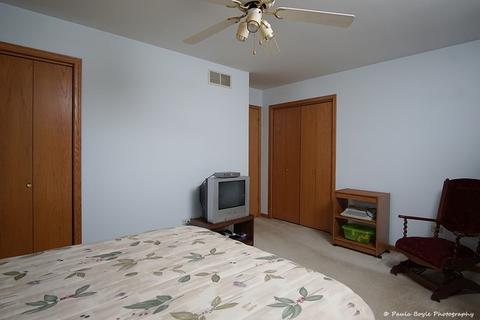 26221 S Ruby St, Monee, IL 60449 photo 17