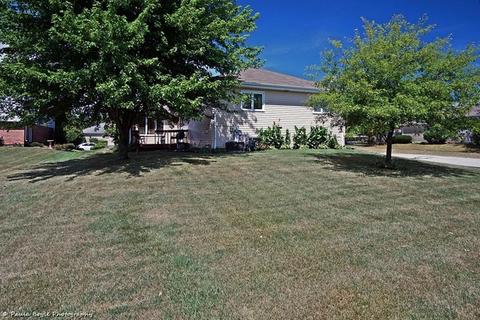 26221 S Ruby St, Monee, IL 60449 photo 24