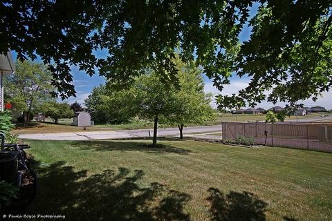26221 S Ruby St, Monee, IL 60449 photo 25