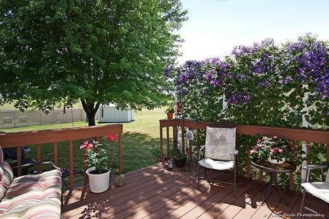 26221 S Ruby St, Monee, IL 60449 photo 22