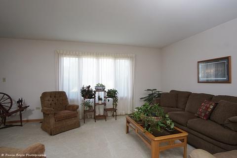 26221 S Ruby St, Monee, IL 60449 photo 4