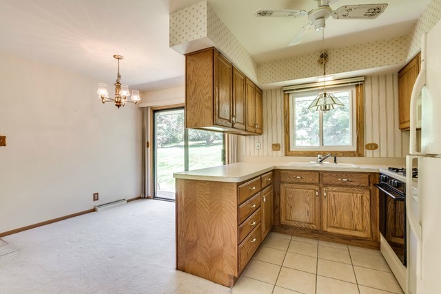 100 Hilltop Rd, Oakwood Hills, IL 60013 photo 8