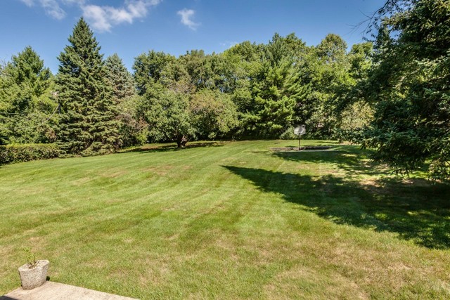 100 Hilltop Rd, Oakwood Hills, IL 60013 photo 23
