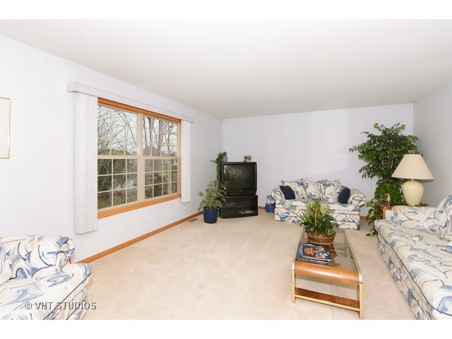 274 Maple St, Beecher, IL 60401 photo 6
