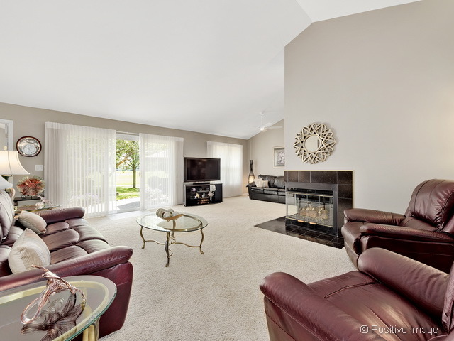 21026 W Hazelnut Ln, Plainfield, IL 60544 photo 4