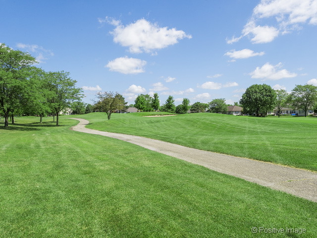 21026 W Hazelnut Ln, Plainfield, IL 60544 photo 22