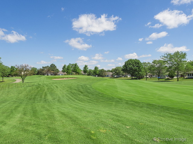21026 W Hazelnut Ln, Plainfield, IL 60544 photo 24