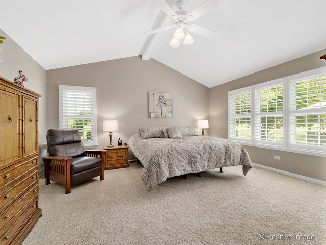 21026 W Hazelnut Ln, Plainfield, IL 60544 photo 12