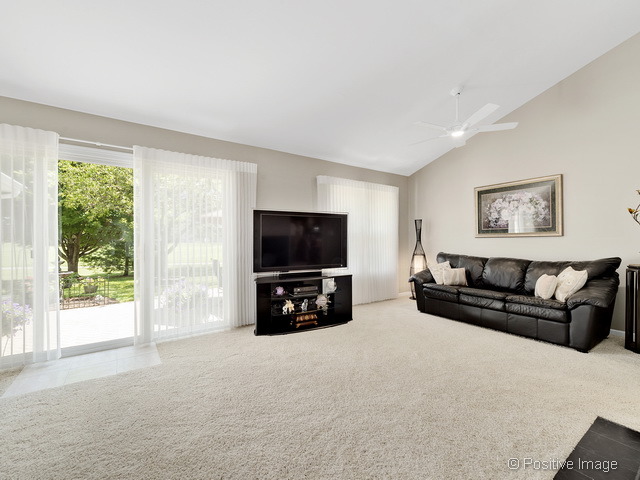 21026 W Hazelnut Ln, Plainfield, IL 60544 photo 6
