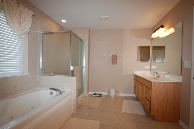 1787 Barnett Ln, Bartlett, IL 60103 photo 9