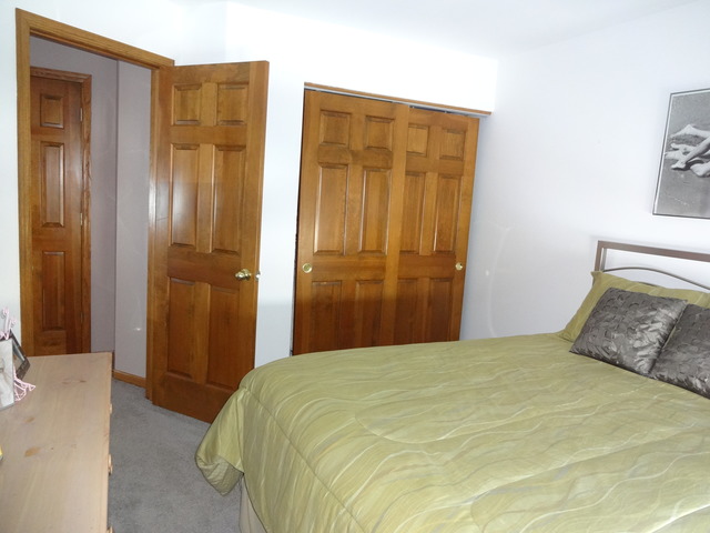 1374 Nightingale Ln, Bartlett, IL 60103 photo 13