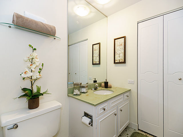 227 Elgin Ave #4E, Forest Park, IL 60130 photo 12