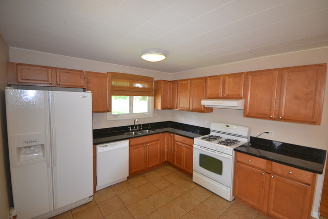 9155 Stanford Dr, Bridgeview, IL 60455 photo 7