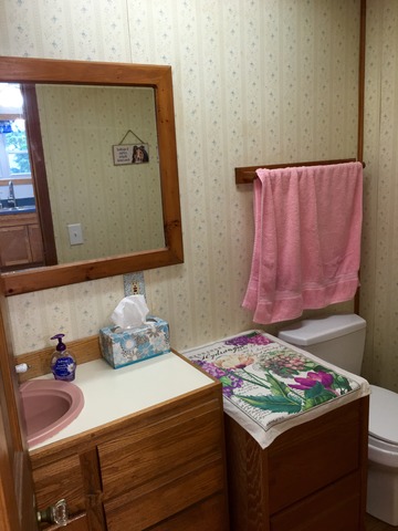4444 Gage Ave, Lyons, IL 60534 photo 10