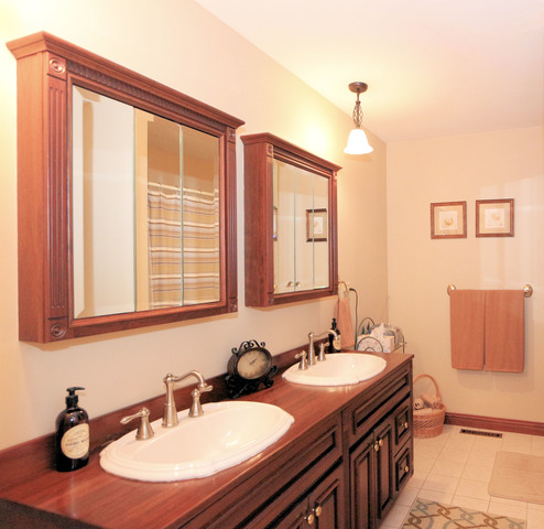 8301 Nolan St, Harvard, IL 60033 photo 16