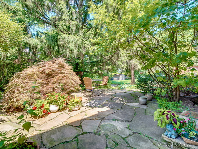 713 E Illinois St, Wheaton, IL 60187 photo 13