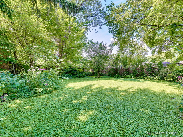 713 E Illinois St, Wheaton, IL 60187 photo 14