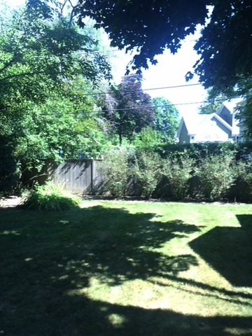 1016 Hazel Ave, Deerfield, IL 60015 photo 14