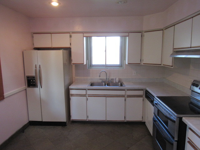403 E Hilton Ave, Addison, IL 60101 photo 7