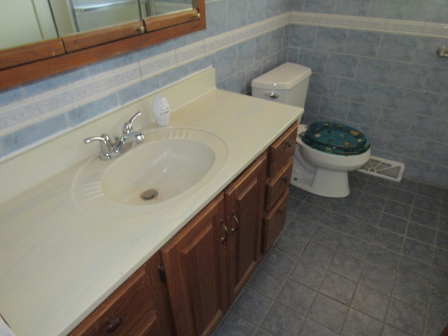 403 E Hilton Ave, Addison, IL 60101 photo 12