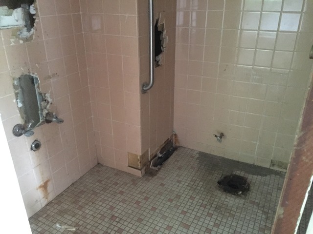 709 E 134th St, Chicago, IL 60827 photo 21