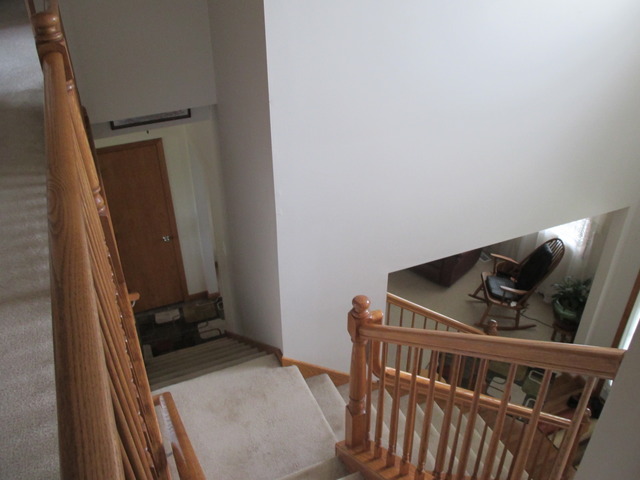 2135 E Rock Ridge Dr, Diamond, IL 60416 photo 3