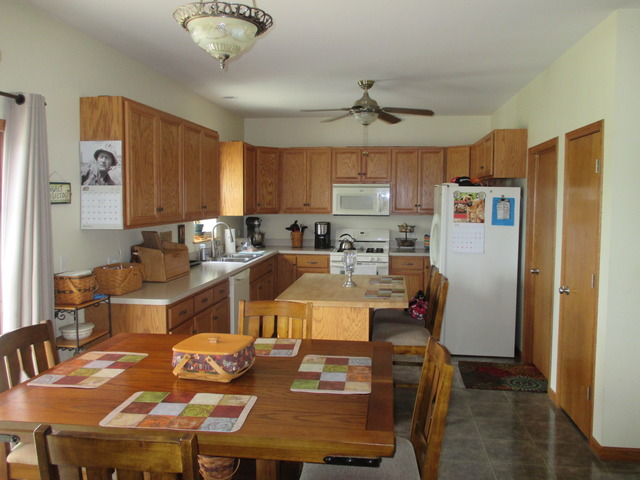 2135 E Rock Ridge Dr, Diamond, IL 60416 photo 5