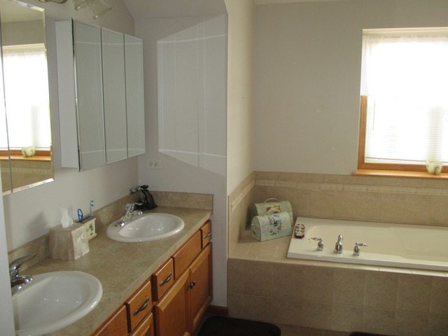 2135 E Rock Ridge Dr, Diamond, IL 60416 photo 11