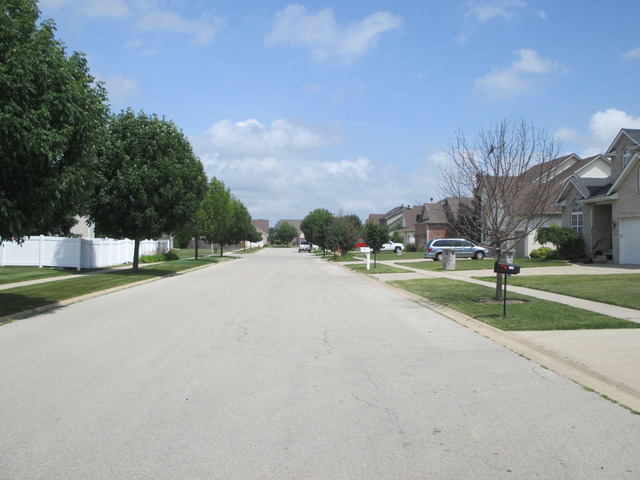 2135 E Rock Ridge Dr, Diamond, IL 60416 photo 24